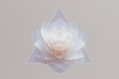 FP13 — The Soul–Body Continuum