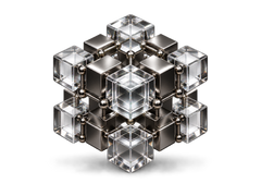 FP12 — Field Primacy